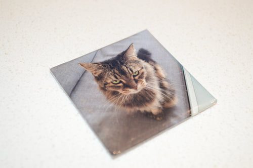 Personalized Magnet (1 Count)