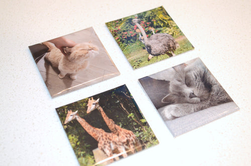 Personalized Magnet (4 Count)