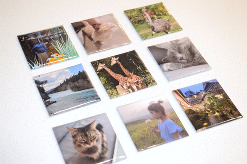 Personalized Magnet (9 Count)