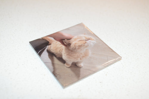 Personalized Magnet (1 Count)