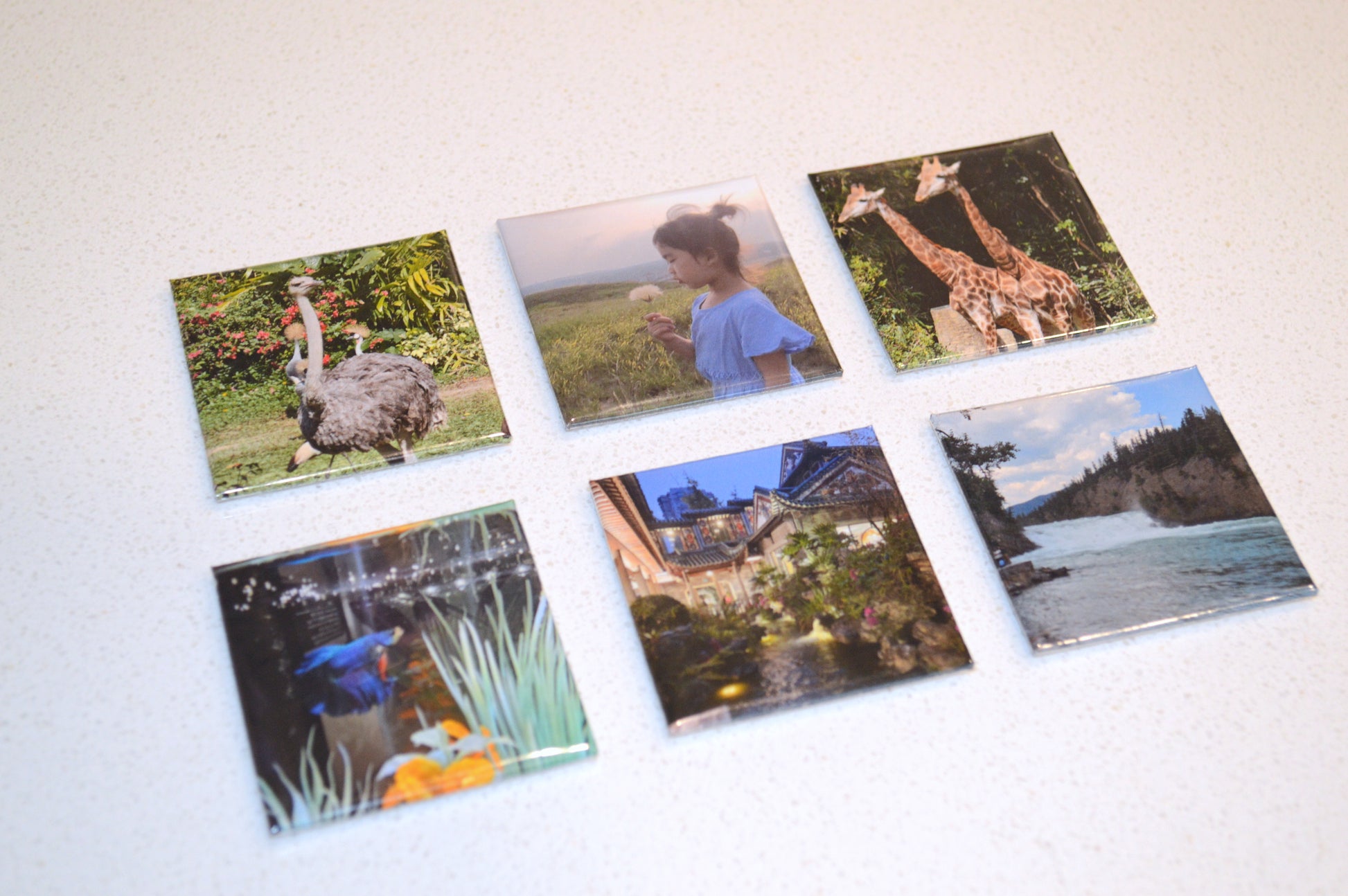 Personalized Magnet (6 Count)