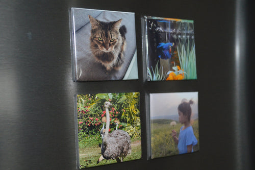 Personalized Magnet (4 Count)