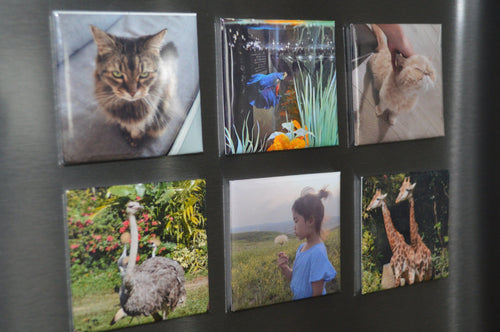 Personalized Magnet (6 Count)