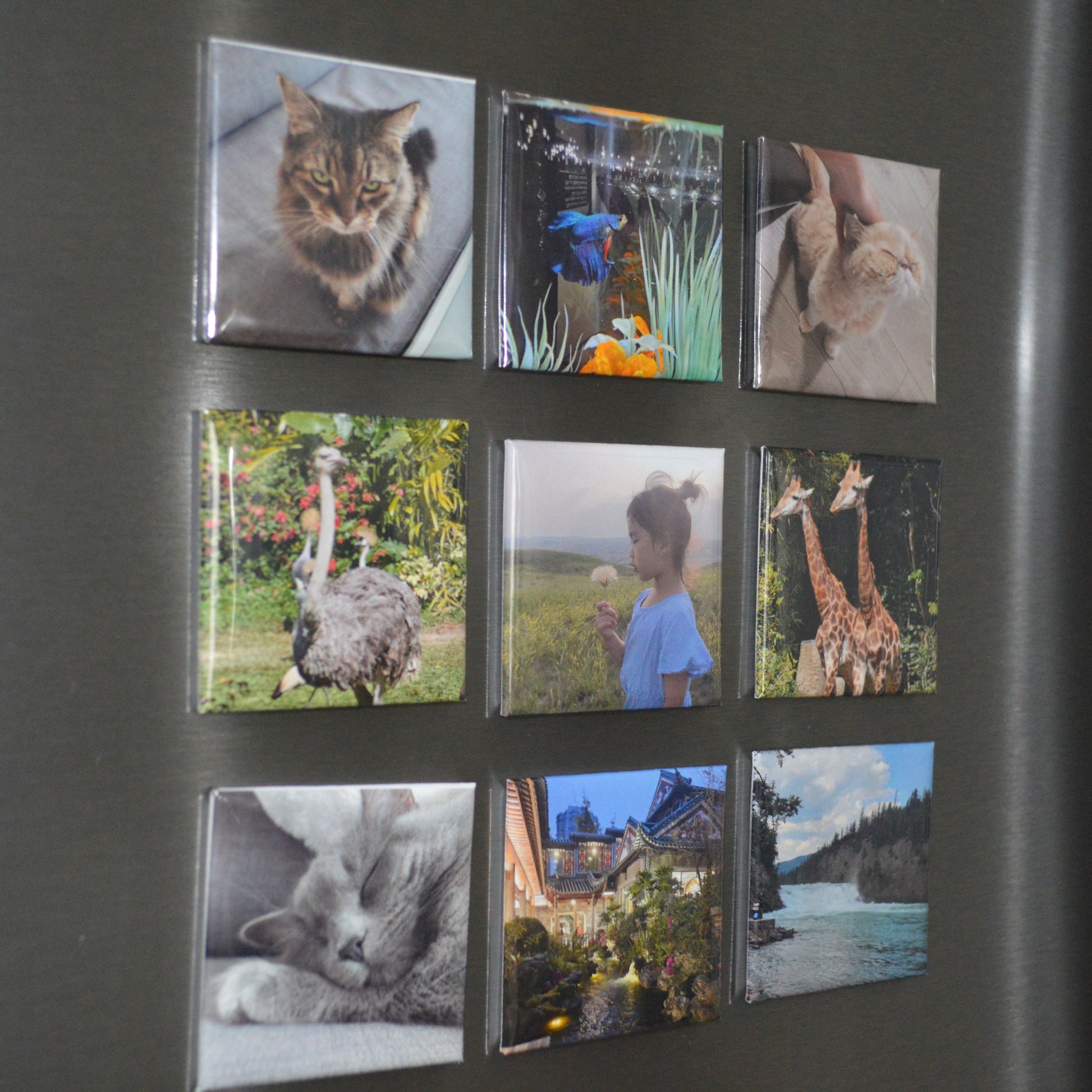 Personalized Magnet (9 Count)