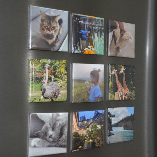 Personalized Magnet (9 Count)